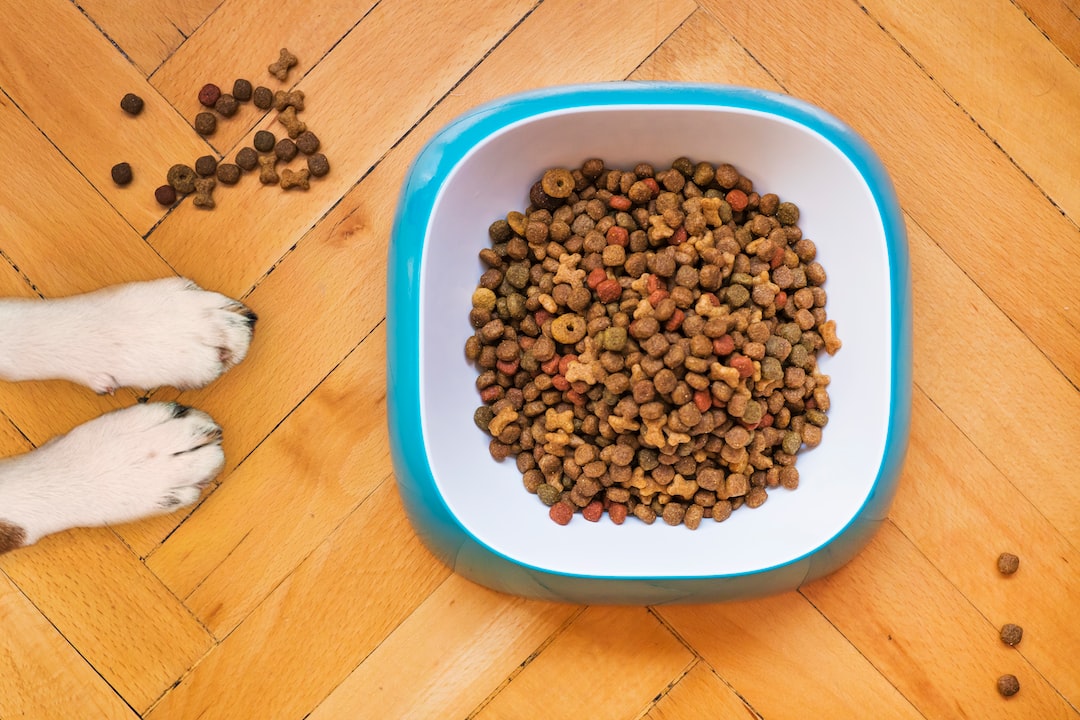 Jakich składników nie powinna zawierać karma dla psów?