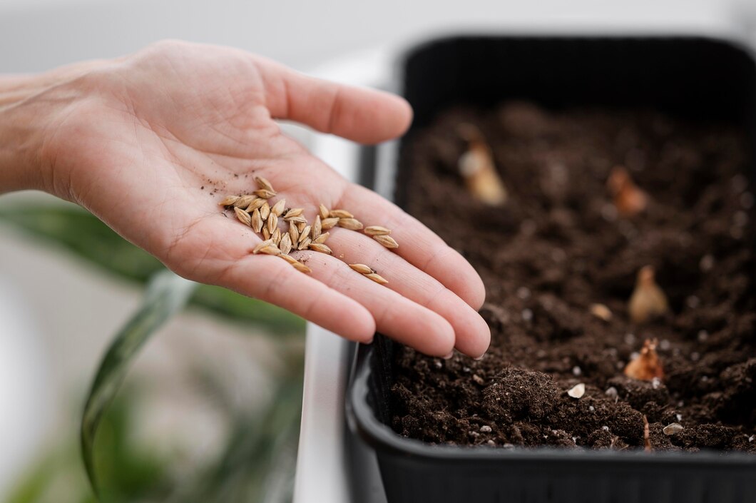 Jak prawidłowo dobrać nawozy i nasiona do swojego ogrodu – praktyczne porady