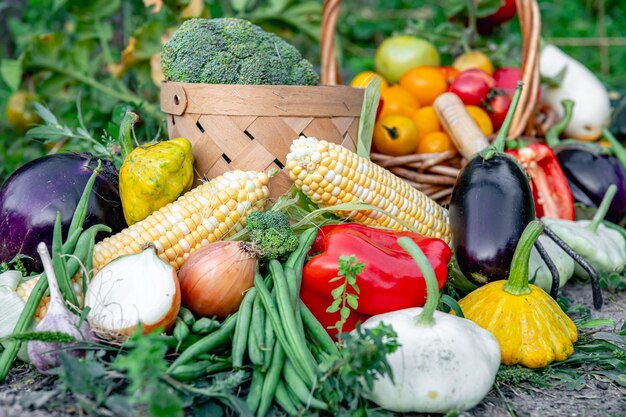 Jak ekologiczne uprawy wpływają na jakość i smak tradycyjnych produktów rolnych?